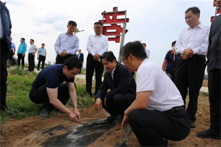 2021年05月20日-区委副书记、区长边祥为到龙山街道调研农业生产工作02_副本