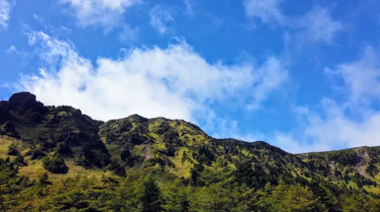 乘势重大战略，打造地理标志“齐鲁样板”