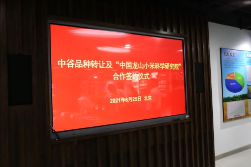 2021年06月25日-中国龙山小米科学研究院01